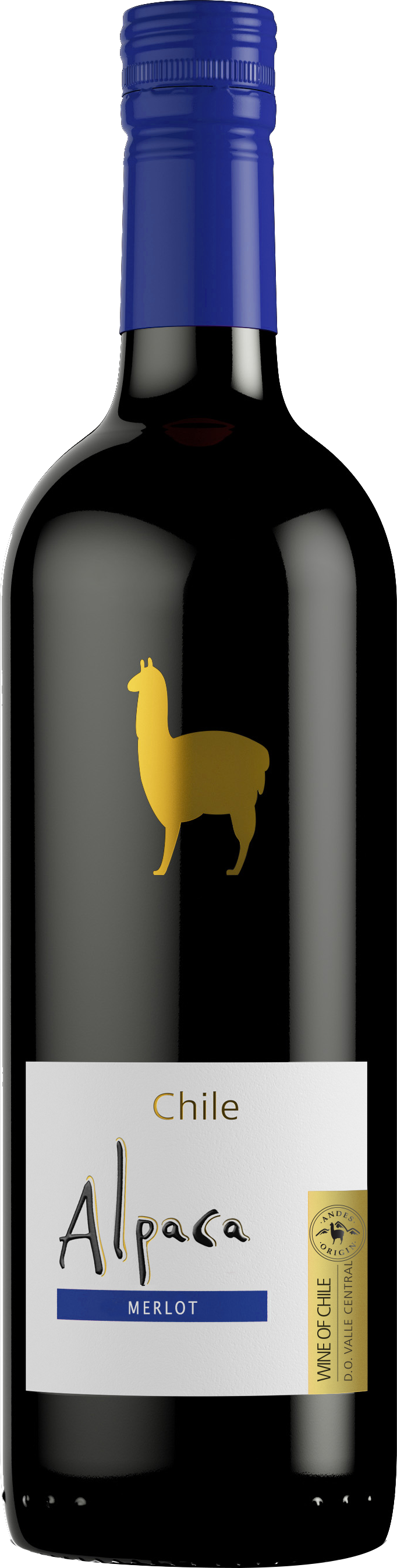 Alpaca 商品 02